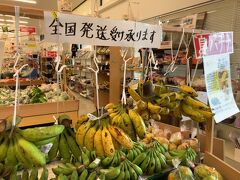【沖縄】南の島の御土産を探すなら市場・スーパー・道の駅へ行ってみよう