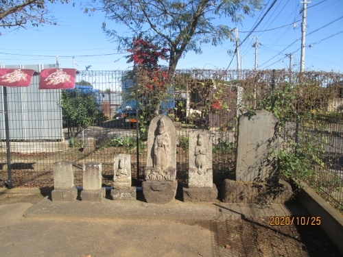 泉地区の西に隣接するのが若白毛という珍しい名前の地区です。沼南町史に詳細は不明と出ています。地区の東西を県道柏・印西線が横断しています。若白毛新田集会所前の庚申塔。旧称は不動堂前と表示されています。若白毛バス停先の信号交差点から南へ1.2ｋｍのところにある集会所敷地内に石仏が写真のように並んでいます。左から３基の馬頭観世音塔と２基の庚申塔、そして道路改修碑となっています。集会所が不動堂を兼ねているのでしょうか、玄関上部に鰐口が釣ってありました。<br />参考にさせていただいたブログは下記です。<br />石仏神心　63　北総石仏　旧沼南町の石仏　若白毛に詳しく書かれています。<br />http://sekibutu.blogspot.com/<br />