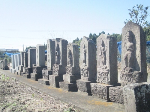 曹洞宗天徳山龍泉院の始まりは、鎌倉時代。現在の柏の地に移ったのは江戸時代と言われています。創建から、およそ７６０年の伝統を持つ由緒正しい寺院として知られています。古記録では建長五年（1253 ）開闢、天文年間（1532～55）量指長栄和尚開山と伝わる曹洞宗寺院です。当地伝右衛門家に酒気を含む泉が湧く所、天竜が小型に変化して入水したのを長栄和尚が目撃、泉水を掬って帰山・読経供養して霊宝としました。この故をもって「天徳山龍泉院」と号したとガイドには書かれています。泉庚申塔群は泉地区から金山地区への入口にあたります。十三基の庚申塔が並らんでおり、正徳元年（1711）から昭和五十四年にかけて造立されたもので、現在、泉地区では庚申講は行なわれていません。高齢化、旧住民の減少で継続出来なく成っています。<br />参考にさせていただいたブログは下記です。<br />石仏神心　61　北総石仏　旧沼南町の石仏　泉に詳しく書かれています。<br />http://sekibutu.blogspot.com/<br />