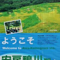 鴨川-1　外房線-特急わかしお５号-安房鴨川駅へ　☆すずき家-地魚づけ丼/名物おらが丼