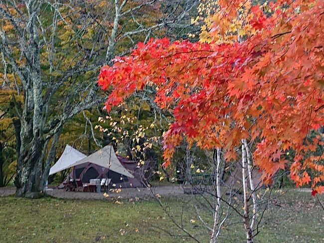 紅葉の季節に合わせて予約しておいた　ワイルドフィールズおじかにキャンプに行ってきました。<br /><br /><br />山の天気は変わりやすく、毎日小雨が降ったりのお天気でしたが、その分時々に変わった風情のきれいな紅葉を堪能できました。
