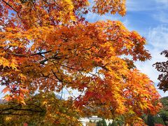 紅葉を見に　二日目の１　御射鹿池　横谷峡展望台　蓼科湖　