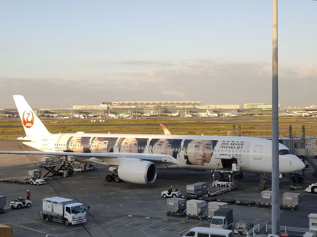 羽田から宮古空港へ久々の空の旅。<br />嵐機も見ることができました。<br />朝、少しだけラウンジに寄り<br />機内はJクラスで楽々。<br />前日2人席が空いたので移動できました。<br />朝一の便でしたが、ホテルの送迎予約し<br />早い時間からホテルに入ることができました^^<br />