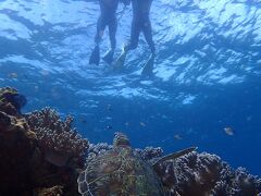 GOTO石垣島3泊4日旅行☆1日目・2日目：石垣島