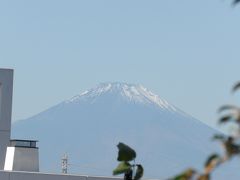 小山台中裏山から見る富士山－2020年秋