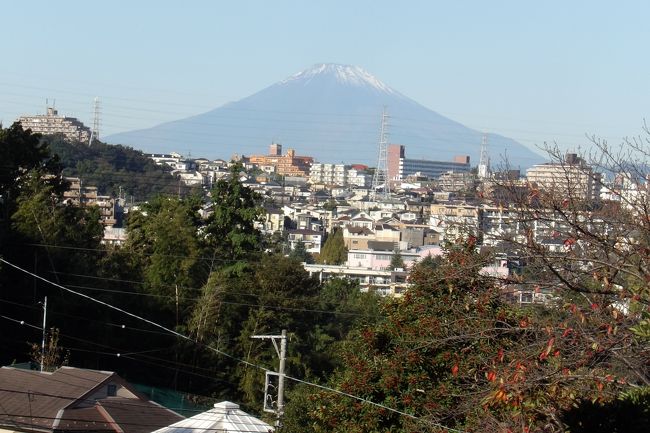 　先週の日曜日（10/25）は富士山が綺麗に見えていた。また、一昨日の木曜日（10/29）は朝から抜けるような秋晴れではあった。期待して8:30に富士山を見ようとここ八幡谷公園上に出掛けた。あいにく、西の空には廃棄ガスのようなスモッグが掛かっており、綺麗な富士山ではなかった。風が強いという天気予報だったので、諦めが付かず、10:30にももう一度確認しに出掛けた。残念ながら、何も改善はされていなかった。<br />　昨日は雨も降ったようなことだったので、今日の秋晴れでは富士山が見えるのではないかと確信して朝早くに訪れた。果たして、八幡谷公園上からは綺麗な富士山が見える。気になったのは、1ヶ月余り前の初冠雪（https://4travel.jp/travelogue/11649242、https://4travel.jp/travelogue/11649244）の頃からすると随分と雪が少なくなっていることだ。それにしても空気が澄んで冷ややかな感じだ。今年の冬は足早に訪れるようだ。そうだとしたら、来月11月、明日からは空気も澄んで富士山が望める日が多くなることが期待されようか。<br />（表紙写真は八幡谷公園上から見る富士山）