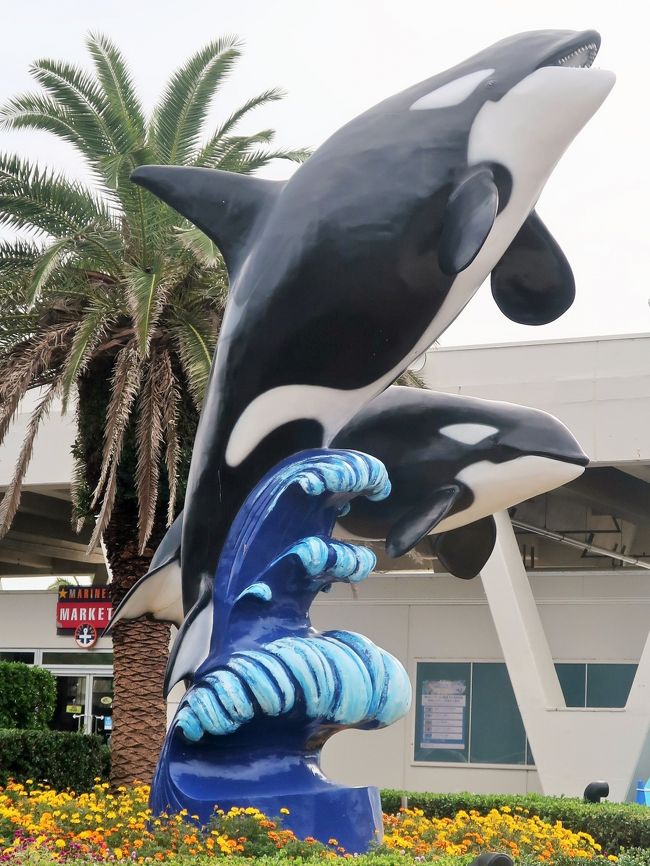 鴨川seaworld 1 エコアクアローム 水の一生 環境展示 上流の川魚 鴨川沿岸の魚 鴨川 千葉県 の旅行記 ブログ By マキタン２さん フォートラベル