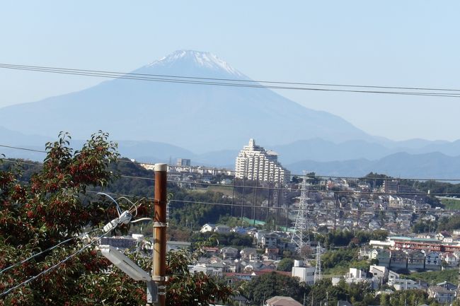 　美晴橋からは区境脇の山道を上って、かつてこの尾根を掘削して平地にした、戸塚わかば幼稚園跡に向かう。しかし、戸塚わかば幼稚園跡ではダンプカーが並んでおり、砂であろうか、小山のように積まれてある。何よりも囲いのフェンスにネットを被せてあり、ネット越に見える富士山だったので諦めた。<br />　では、尾根近くの幸ヶ丘団地から見える富士山は？しかし、さすがに団地内となると、建物や電柱、電線が富士山の邪魔をしている。駐車場の前に2棟のアパートが建ち、その先にはつっかえ棒まである電柱が前に建っている。これでは富士山も台無しだ。その上からも電線が富士山の邪魔をしている。やはり、幸ヶ丘団地の外れにある幸ヶ丘自治会館から見る富士山（https://4travel.jp/travelogue/11656750）が最高だ。<br />（表紙写真は幸ヶ丘団地から見る富士山）