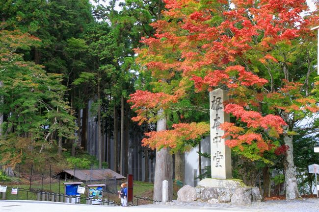 比叡山延暦寺<br /><br />比叡山ドライブウェイから奥比叡ドライブウェイを縦走（通行料金2430円）し延暦寺の各堂宇を巡ってきました。<br />紅葉はまだまだこれからで色付きはじめという感じでした。<br />延暦寺は「東塔」、「西塔」、「横川」の三つに区分され三塔と呼ばれておりそれぞれに本堂があります。<br />東塔、西塔、横川の順に拝観してきました。拝観共通券1000円です。