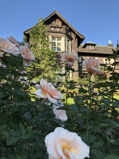 東京散歩　薔薇の洋館巡り