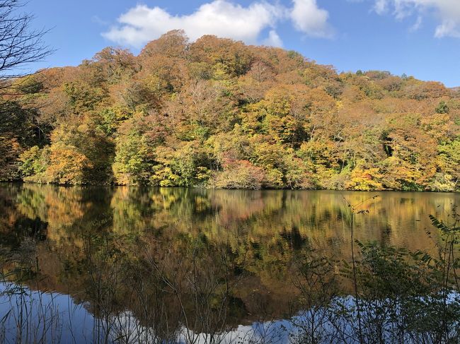 紅葉の秋田を満喫（子連れ）1/3 ～白神山地十二湖、能代、男鹿温泉～