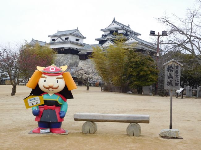 久々のお城巡りの旅@愛媛県<br />1日目は、松山空港に到着後、「松山城」を見学。<br />その後、車で1時間かけて「今治城」へ。<br />今治では、ご当地グルメの「焼豚玉子飯」を頂きました。