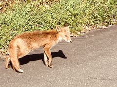 月形樺戸博物館
