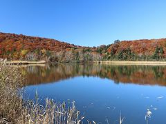 東北の名湯と紅葉巡りの旅　6/14（八幡平観光）