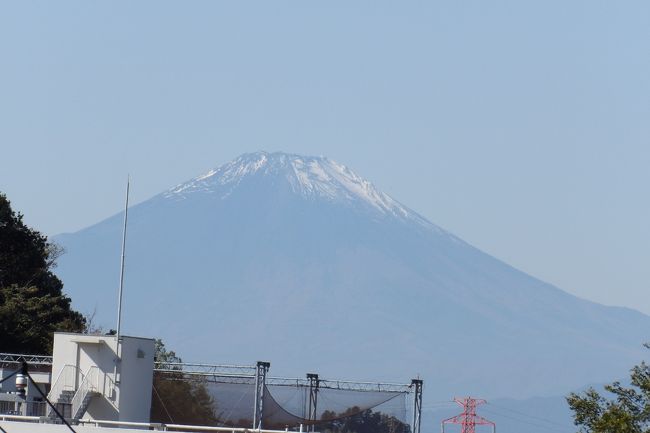 　小山台小から戻る途中で本郷台団地を横切る環状3号線の切通部分から富士山が望めることを思い出し、大回りして見晴橋に向かう。果たして、スーパーサミットの看板の左横に富士山が見えている。森の木立が掛からない橋の袂までと見晴橋を渡る。雄大な富士山が望めた。<br />　見晴橋の少し西側には区境がある。これは昔の尾根道の跡である。すなわち、ここの尾根を通る鎌倉道からは富士山が見えたのだ。<br />（表紙写真は見晴橋から見る富士山）