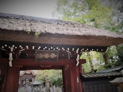 秋の東京ゆらゆら散歩～深大寺と吉祥寺