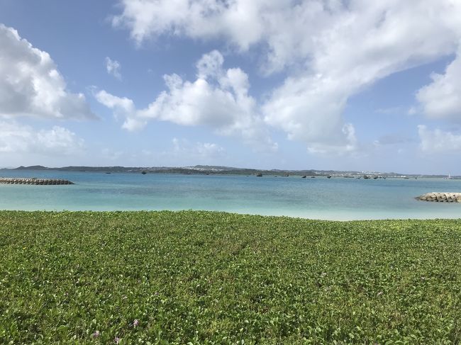 レンタカー付2泊3日の沖縄本島に行ってきました！<br />石垣島と渡嘉敷島にも行きたかったけど、<br />コロナなのであちこち行くのはやめて本島のみにしました。<br />旦那さんの仕事の都合で11月になってしまい、時期的に海には入れない！<br />でもキレイな海が見たい～！<br /><br />========利用交通機関（JAL)========<br />【往路】 新千歳 → 羽田 → 那覇空港<br />【復路】 那覇 → 羽田 → 新千歳空港<br /><br />==========利用宿泊施設==========<br />1日目　オキナワグランメールリゾート<br />2日目    サザンビーチホテル＆リゾート沖縄<br /><br />==========ご利用料金==========<br />基本代金(大人) 42,800円 × 2 = 85,600円<br />往路指定便割増　大人 2,000円 × 2 = 4,000円<br />往路指定便割増　大人 3,000円 × 2 = 6,000円<br />ホテル指定割増 1,000円 × 2 = 2,000円<br />ホテル指定割増 2,000円 × 2 = 4,000円<br />GoTo給付額 -35,500円 × 1 = -35,500円<br />-------------------------------<br />合計金額:66,100円　(1人33050円)