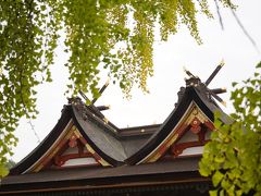 20201028-5 岡山 吉備津神社の本殿は、珍しい吉備津造。国宝らしい。