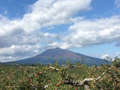 紅葉とりんごの旅③