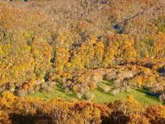 秋の函館大沼でカナディアンカヌーと函館七飯ゴンドラ、紅葉の谷の紅葉