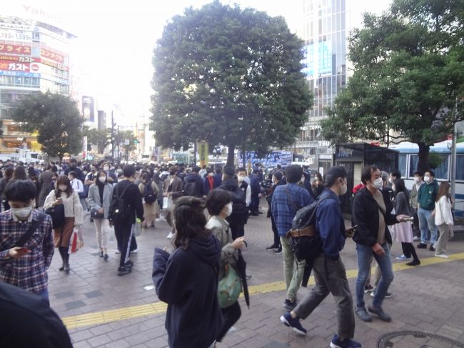 　ハロウィーンの渋谷どんな様子？　夜は　混雑するので昼間井の頭線乗る前に、ハチ公前を通過してみました。<br /><br />　田町ー渋谷　都営バス　田８７<br />　渋谷ー吉祥寺　京王・井の頭線<br />　吉祥寺　ムーバス【関東バス】<br />　吉祥寺ー東中野　JR中央線　　東中野－大門　都営大江戸線