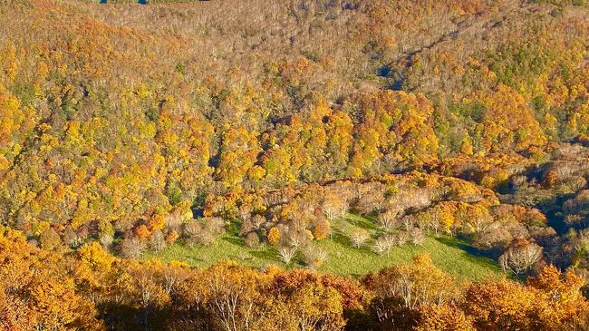 秋の函館大沼でカナディアンカヌーと函館七飯ゴンドラ 紅葉の谷の紅葉 大沼 駒ケ岳 北海道 の旅行記 ブログ By Flocons De Neigeさん フォートラベル