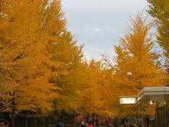 札幌の黄葉・中島公園2 ～　2020