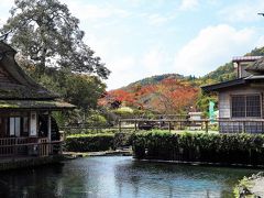 紅葉を見に　三日目　河口湖　忍野八海