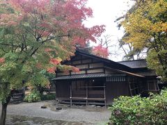 紅葉の秋田を満喫（子連れ）3/3 ～角館の武家屋敷散策、横手やきそば～