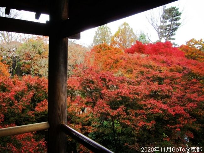 ☆京都/嵐山温泉【渡月亭】紅葉が美しい秋の京都へGoTo～週末温泉1泊2日(2020.11)