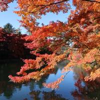 軽井沢の紅葉狩り