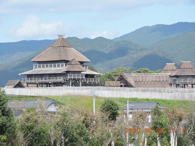 2020年10月24日（土）<br />JR九州ウォーキング　佐賀県吉野ヶ里公園駅「秋の吉野ケ里歴史公園」と赤いそばの花<br />　<br /> 上南部バス停　7:22→7：32東海学園駅7：40→7：56熊本駅8：01→8：59大牟田駅9：02→9：44鳥栖駅10：02→10：22吉野ヶ里公園駅<br />　　吉野ヶ里公園駅南口→役場・小学校→田手神社→長崎本線踏切→吉野ヶ里歴史公園東口より入園（公園内は自由散策）南内郭→<br />北内郭→物見やぐら・住居跡・→ソバの花畑（そば茶のふるまい）→吉野ヶ里歴史公園（北口）退場→吉野麦米（物産館）→吉野ヶ里公園駅（約8㎞）<br /><br />　帰路　吉野ヶ里公園駅13：15→13：30鳥栖駅13：55→八代行き区間快速→15：20熊本駅15：27→15：41東海学園前駅15：52→16：02上南部<br />　　秋の吉野ケ里公園内を自由に散策見学して赤いそばの花がきれいに咲いていた。歴史公園も少しずつ変化してきているように思えた。天気がよくて気持ちよいウォーキングであった。