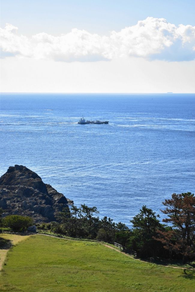 Go To キャンペーンよりも前に申し込んでいた、熊野古道を巡る旅。海外に行けないので、日本国内のパワースポットを重点的に訪問しようと思っています。<br /><br />熊野古道を歩く前に、まずは海の和歌山。<br />・羽田空港から南紀白浜へ<br />・とれとれ市場で昼食<br />・円月島、白良浜、ホテルシーモアの海中展望台、千畳敷、三段壁<br />・宿は古賀の井リゾート&スパ<br />・翌朝は潮岬へ。本州最南端。潮岬観光タワー、ジオパーク<br />・紀伊大島の脇を通って橋杭岩、鯛島・九龍島<br /><br />表紙写真は、潮岬観光タワーから本州最南端を望む。