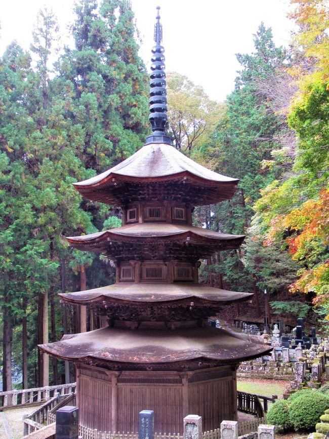 2020/10/15(木)晴れ<br />2泊3日の信州の旅も最終日です。<br />泊まった「旅館花屋」を後にして、別所温泉の古刹「北向観音」「安楽寺」「別所神社」「常楽寺」を巡りました。<br />一度来たことがあるのですが、3時間の散策で4社寺を参拝できました。<br />塩田平の古刹めぐりと違い、歩いて見てまわった方が便利かもしれません。<br />ここでは、ランチの「そば久」までの午前中の記録です。