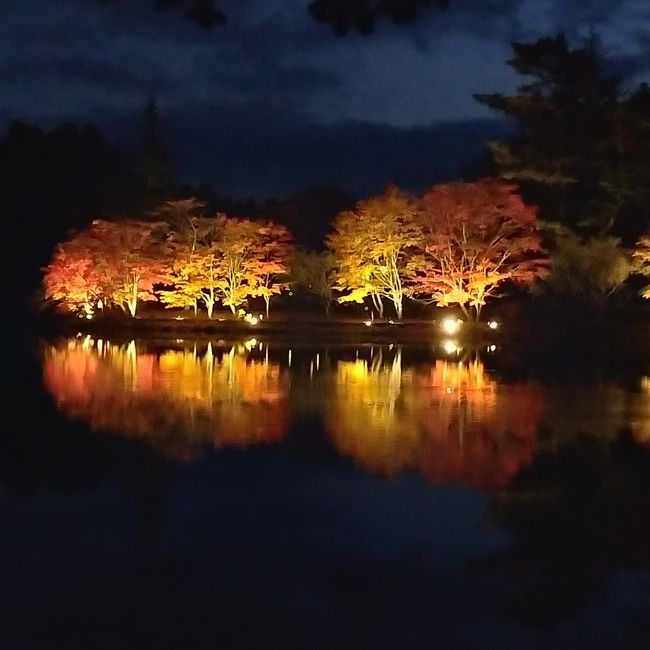 蓼科の紅葉の名所を親湯温泉を拠点にして巡って来ました。<br />訪れたときはお天気に恵まれ、紅葉がとても素晴らしくて、紅や黄色に色づいた中でリフレッシュ出来ました。。<br /><br /><br /><br />旅行記は次のように編集しました。<br />　1.紅葉の名所：御射鹿池(みしゃかいけ)と北八ヶ岳ロープウェイ<br />　2.紅葉の名所：横谷(よこや)観音と王滝<br />　3.紅葉の名所：蓼科湖<br />　4.紅葉の親湯温泉<br /><br /><br />尚、写真は編集のため順番の違うものもあります。<br />ご了承ください。<br /><br />