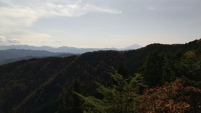 11月１日(日)、同僚と、大岳山（おおだけさん）へ行きました。<br />青梅市の御岳山（みたけさん）のケーブルカーで御岳山駅まで上がり、マスクを付けたまま、そこから歩き始めました。紅葉が鮮やかでした。まず、御岳山の頂上に有る武蔵御嶽神社へお参りしました。御岳山の参道は幼児でも安全でしょう。<br />中腹の緩やかな道をしばらく歩きました。芥場（あくたば）が鞍部で、ここから登りでした。大岳山荘跡横のテラスへ行くと。富士山がよく見えました。大岳神社の横を通り、頑張って登り、奥多摩町と檜原村に跨る標高1266.4ｍの大岳山頂上に到着。混雑しており、マスクを付けました。ここは長居せず、下りました。大岳山は登山初心者に安全な道だと思います。<br />大岳山荘跡横のテラスに戻り、ここでランチとしました。私は拝島駅で買った「ひじきご飯弁当」を食べました。おかずが混ざっちゃいました。<br />ここから馬頭刈尾根を下りました。この尾根はあきる野市と檜原村の境界です。標高1054ｍの富士見台は微妙な富士山の眺めでした。つづら岩前後は岩場で、注意を要しました。崖では岩登りの練習中でした。標高969ｍの小屋の沢山、標高916ｍの鶴脚山（つるあしやま）を経て、標高884ｍの馬頭刈山（まずかりやま）まで来ました。わりとアップダウンの有る尾根歩きでした。<br />馬頭刈山から泉沢へ下りました。泉沢の渓流が綺麗で、その下の秋川も綺麗でした。あきる野市乙津（おつ）の「和田向（わだむかい）」バス停に到着。本日のハイキングはここで終了しました。ここに有る「山の店」でこんにゃくを買いました。