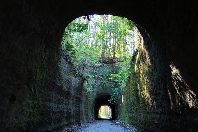 今年の夏から千葉県内に住んでいます。旅はまず地元から。秋に販売される「サンキューちばフリーパス」を手に１泊２日で房総半島の南半分を周回してみました。<br />１日目はのどかな里山を縫うように走る小湊鐵道といすみ鉄道を乗り継いで房総半島を縦断。港町、勝浦で泊りました。レトロな鉄道に地球の歴史を知る里山ハイキング、そして旨い魚。盛りだくさんの内容で長い旅行記になってしまいました。<br />【旅程】<br />○10月31日（土）本編<br />五井駅（小湊鐵道）月崎駅（徒歩約2時間40分）飯給駅（小湊鐵道）上総中野駅（いすみ鉄道）大原駅（ＪＲ外房線）勝浦駅　勝浦リゾートイン泊<br />・11月1日（日）その２ https://4travel.jp/travelogue/11658915<br />勝浦駅（ＪＲ外房線・内房線）太海駅（ＪＲ内房線）館山駅（ＪＲバス）野島埼灯台（ＪＲバス）館山駅（ＪＲ内房線）上総湊駅（ＪＲ内房線・総武線）