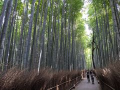 竹林の道に行きたくて京都嵐山へ