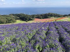 5・7歳連れ淡路島＆高松ドライブ旅行：淡路島編