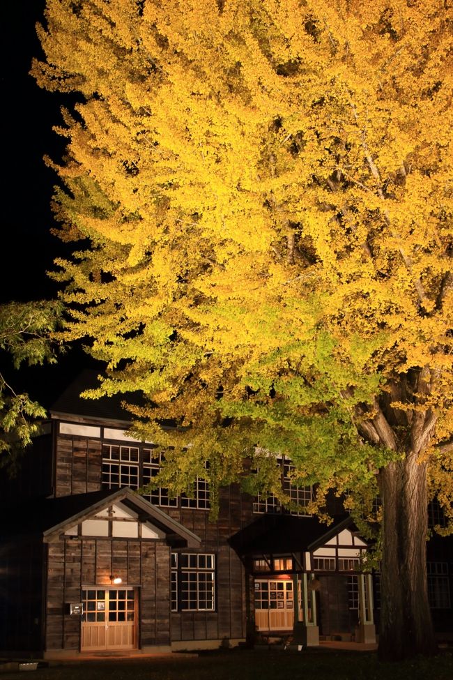 今年の紅葉旅は福島から。<br /><br /><br />1日目 10月31日<br />只見町 只見線<br />昭和村 旧喰丸小学校<br /><br />2日目 11月1日<br />猪苗代町 土津(はにつ)神社<br />福島市 あづま総合運動公園<br />福島市 福島市民家園<br />猪苗代町 白糸の滝<br /><br />3日目 11月2日<br />白河市 南湖(なんこ)神社<br />西郷村 雪割渓谷
