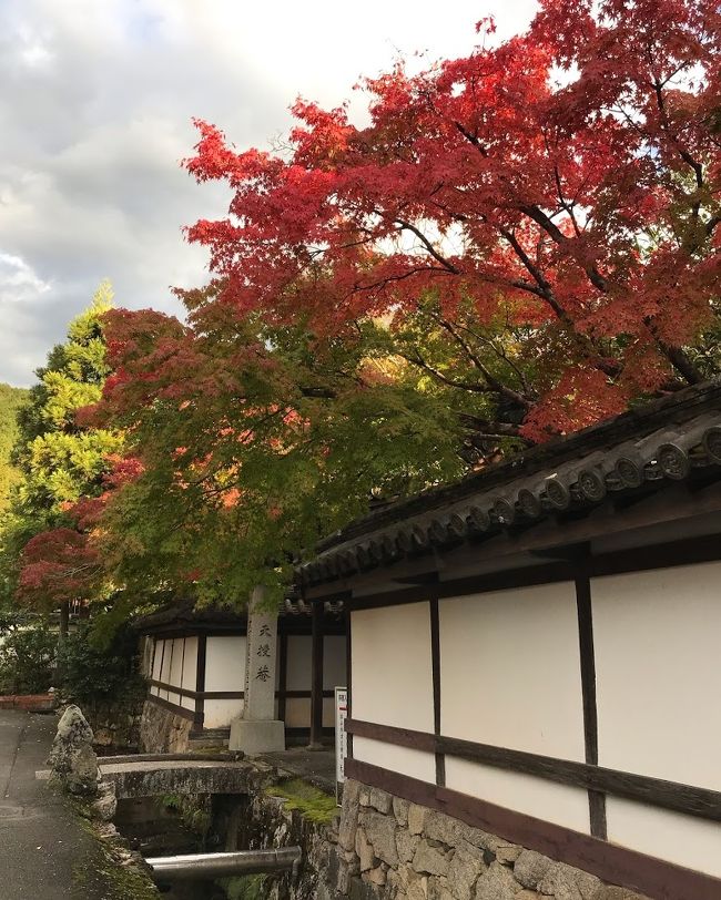 先月の事(一つ前の旅行記)<br />今年最初の旅行記 そして今年最初の旅を書きました。<br />その時、ちらっと書いたのですが。<br />キャンペーンを利用すると、実質6000円で日帰り京都旅が出来て。<br />「また行きたい」と書いてましたが。<br /><br />ちょうど一ヶ月後の11月3日。<br />再び、キャンペーンで京都に行って来ました。<br /><br />前回の京都旅を見て頂けると分かると思うのでうが、前回は「何も調べないで行く」って旅だったので。<br />結構ミスってしまった部分がありました。<br /><br />その一つに長楽館の特別公開が含まれてて。<br />前回はそれに気づかずに見る事が出来ませんでした。<br /><br />それなので、今回の目的は長楽館に行くって事です。<br /><br />そして、このひと月で人の流れが変わってました。<br />京都に観光客が多くいるって印象でした。<br />また、前回は隣に誰も座らなかった新幹線ですが。<br />今回の帰路の列車は人が多かったのか、隣にも人が座ってました。<br /><br />兎に角、京都に人が戻ってきた!って喜びがあった今回の旅です。