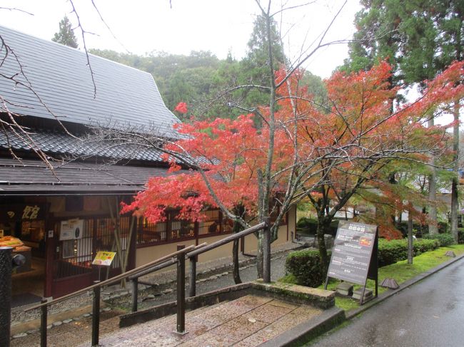 Gotoトラベルを利用して2泊3日の加賀温泉郷旅行。<br />2日目は、山代温泉と「ゆのくにの森」散策。<br />「ゆのくにの森」は、少し紅葉してました。前日の鶴仙渓より紅葉が少し早いです。<br />やはり見頃は、1週間くらい後と思います。<br />宿泊は、「ゆのくに天祥」初めての宿泊です。<br />Gotoトラベル使用6回目です。