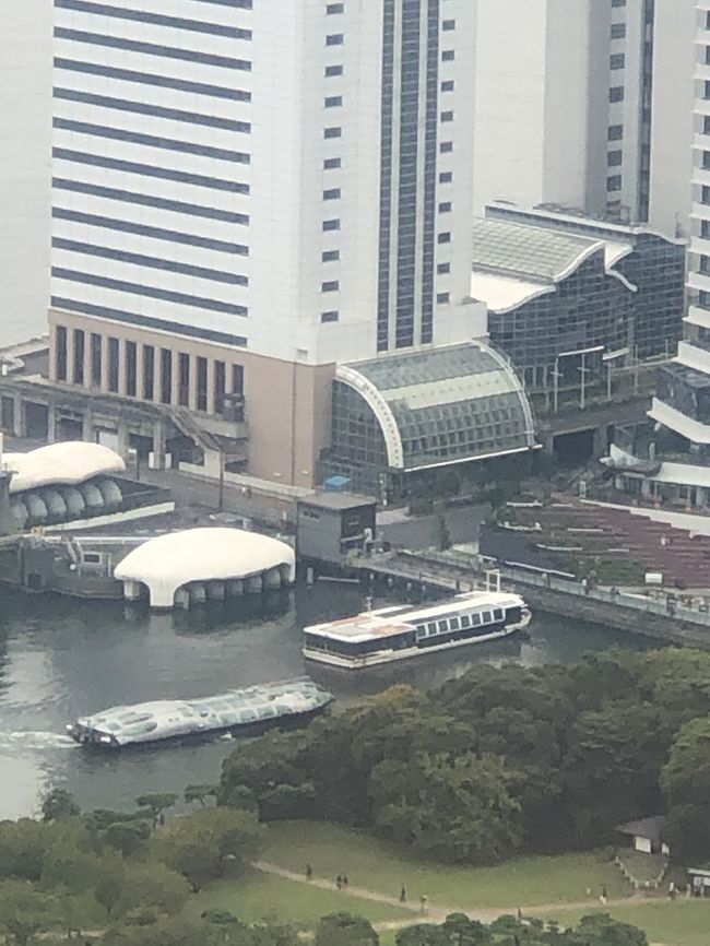最近再開発が進んで話題になっていた竹芝周辺が気になってしょうがなかったので、gotoトラベル東京組入れの初週に行って来ました。<br />時間があったら水上バスにでも乗ってお台場辺りでもと思っていましたが、そんな時間もなく盛りだくさん。<br />都民ではないのでもっと東京などは使えないですが充分お安く宿泊出来ました。