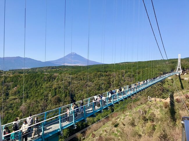 2020年10月 三島スカイウォークと海鮮食べ放題＆みかん狩りとサツマイモ掘り体験