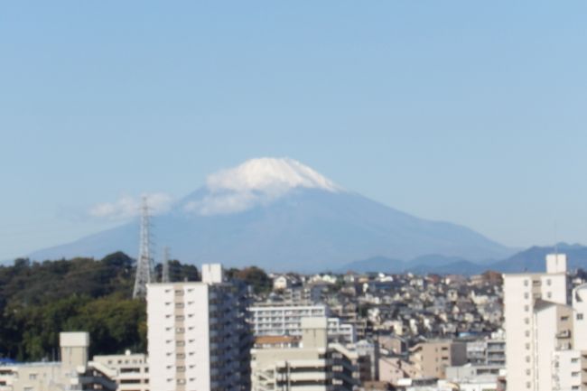 　先月末（10/31）にこの辺りを通って富士山の姿を確認はしたのであるが、あいにく急いで通り過ぎてしまったので、秋晴れとなった今日に出直してみた。西の空の低空には雲が出て、流れてはいるが、水神橋辺りの3箇所から富士山の姿を撮影した。<br />　水神橋の階段からは電柱と電線かケーブルの狭い間に富士山が望める。高台とはいえ、片側2車線道路と町内を結ぶ階段であるからこれも致し方ないか。<br />　その道路沿いのビルの間からも富士山が望める。<br />　左折して少し上った坂道の途中にある上倉田水神ヶ谷公園からは普通に富士山が見える。ただし、写真は公園のフェンス越に撮る。鉄塔が入るが中外製薬の研究所の建設現場に建つクレーンが入らないことから、中外製薬の研究所が完成した後もこの光景は変わらないだろう。<br />　実は、今日は先日に訪れた「舞岡ふるさとの森散策路」の小田急団地東側から尾根を越えて舞岡町に通じている道路辺りからは富士山が望めなかった（https://4travel.jp/travelogue/11656996）ので、再確認するために出掛けたのだ。しかし、あいにく、水神ヶ谷公園辺りからカメラが画像データをメモリに残すことができなくなってしまい、画像はないのだが、この道路の途中の坂からと、この先、北に進んだ「舞岡ふるさとの森散策路」の東西両側が畑で谷側が開けた場所からさらに雄大な富士山を望むことができた。丁度、舞岡変電所の西側の尾根で、水神ヶ谷公園より高い位置からの富士山の姿である。したがって、鉄塔は気にならない。<br />（表紙写真は水神ヶ谷公園橋から見る富士山）