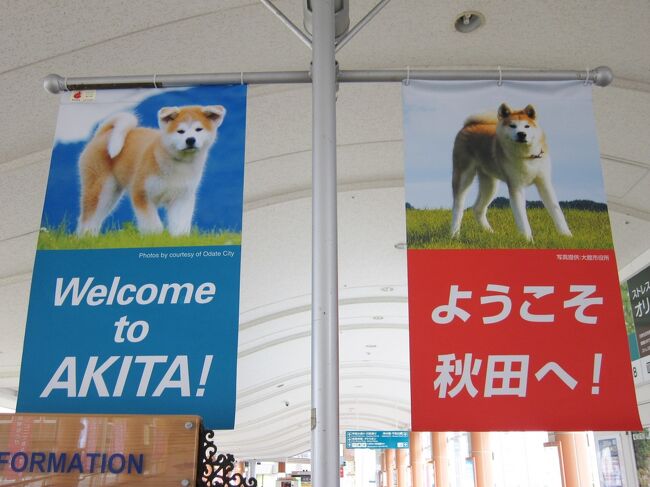 またまた年に一回のマイルが切れる月に入りました~、11月から6か月間もマイル期限が毎月切れていきます。<br />本来ならば国際線航空券として利用してこそ価値が発揮されるのですが、現状のコロナ禍では当分どこへも出国出来そうにもありません。<br /><br />仕方なく今回も「JALどこかにマイル」を利用して国内の旅にてマイル交換をします。<br />H/Pから検索するのですが減便体制の影響でしょうか?、出発時間の選択が不可で?~、ゆえに時間帯指定なしのみに成ってます。<br />旅先再検索を流して見ていると東北・東京・九州に集中してました~、で「秋田・山形・仙台・宮崎」の4候補地で申し込みをし、翌日旅先決定のメールを開くと「秋田」でした。<br /><br />航空券のスケジュールは以下の通り~<br />往路 大阪・伊丹/秋田 JAL2179 16:20/17:35<br />復路 秋田/大阪・伊丹 JAL2176 18:25/19:55<br /><br />今回もGOTOトラベルキャンペーンを利用し、レンタカーも予約をして玉川温泉から乳頭温泉へと秋の深まりを感じる旅と決めていましたが、結果的に例年よりも早い降雪の為に中止…、追い打つように県内都市部にも降雪とのことでレンタカーもキャンセルをし秋田市のみでの旅に成りました。<br /><br />それでも十代の頃以来の再訪なので楽しみにして伺うことにしました。<br />宿も全て秋田市内で3泊し、街中をぶらぶら歩きしながら温泉で体を治癒すことも忘れずにしました。<br />今回の旅では「秋田コンベンション協会」さんにはパンフの送付や問い合わせなどで随分とお世話に成りました、本当に感謝です!。<br /><br />撮影使用カメラ キャノン・パワーショットS90