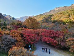 2020秋 韓国 全羅北道 内蔵山で紅葉狩り 