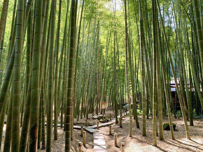 坂東三十三所 第1番 杉本寺・第4番 長谷寺