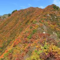 鳥甲山・苗場山