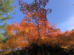 思い立って京都嵐山方面へ